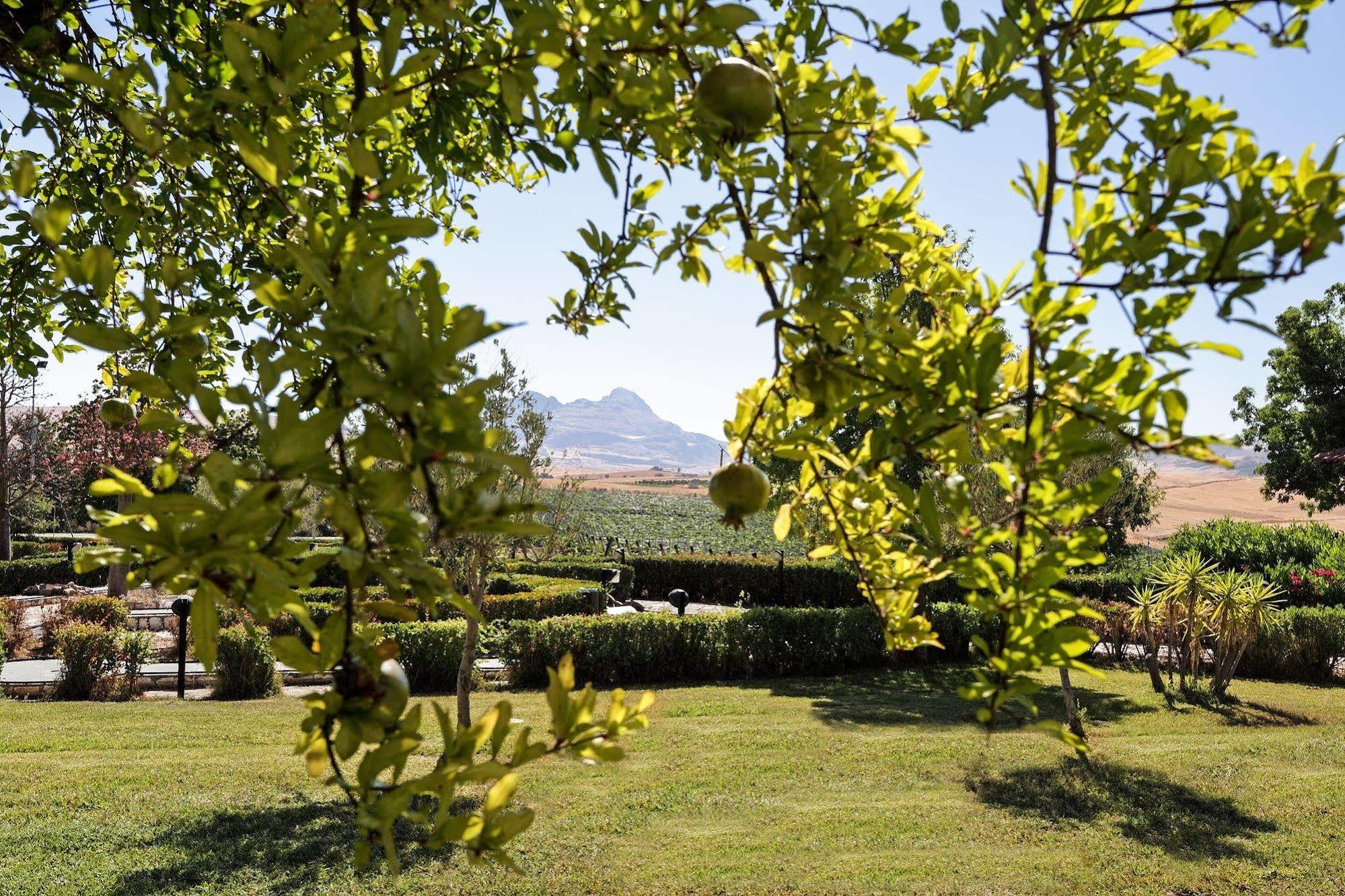 Agriturismo Tenute Pollara Roccamena Екстериор снимка